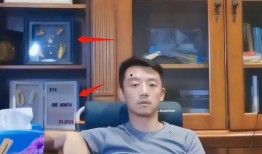 爆料苗苗生三胎的网友视频,网友视频曝光温馨家庭幸福瞬间